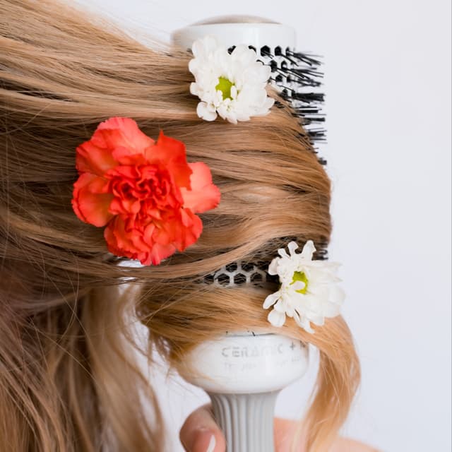 La Belle  - Two Blowouts at Fleur Salon in Creve Coeur, MO